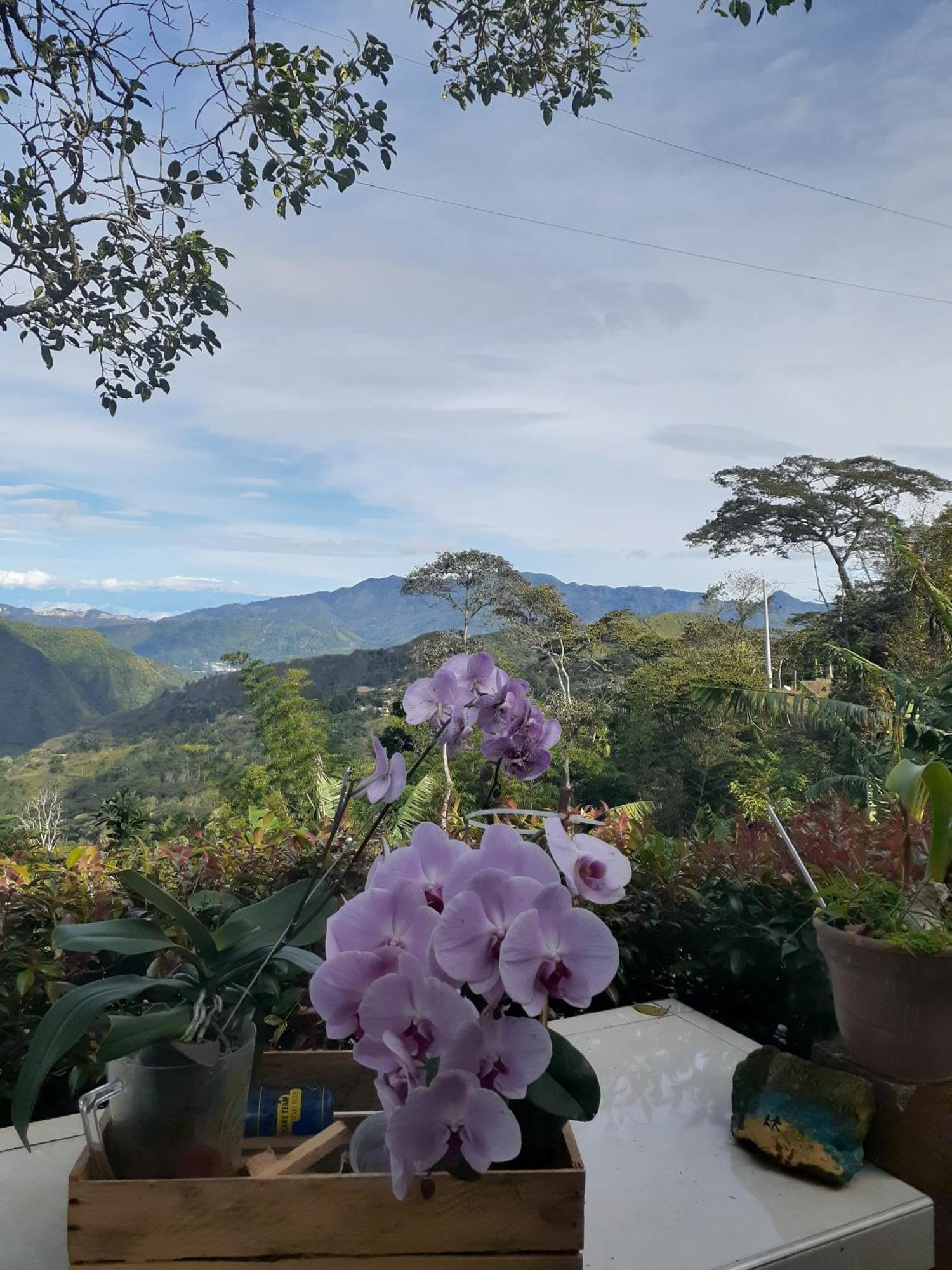 Вилла Casa Finca El Girasol Гуайябаль-де-Сикима Экстерьер фото