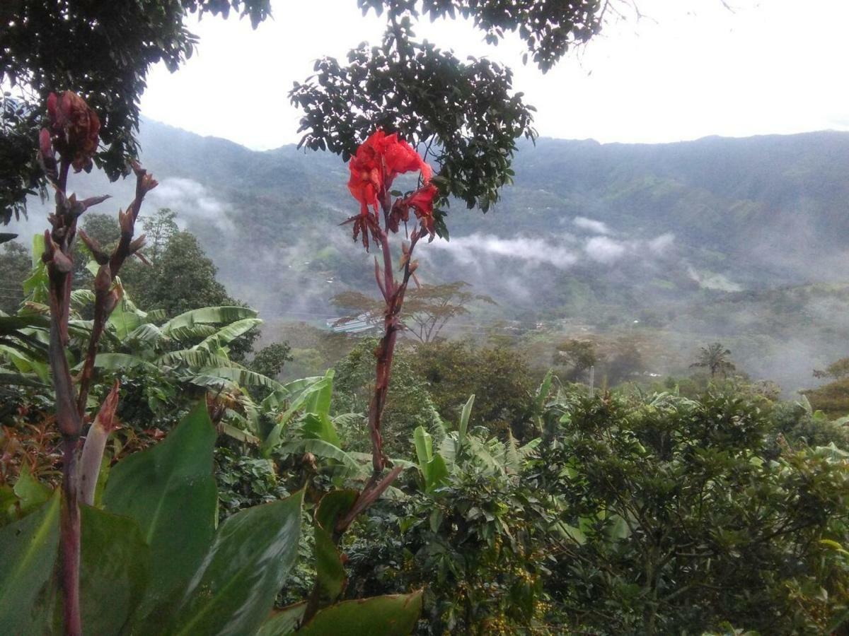 Вилла Casa Finca El Girasol Гуайябаль-де-Сикима Экстерьер фото